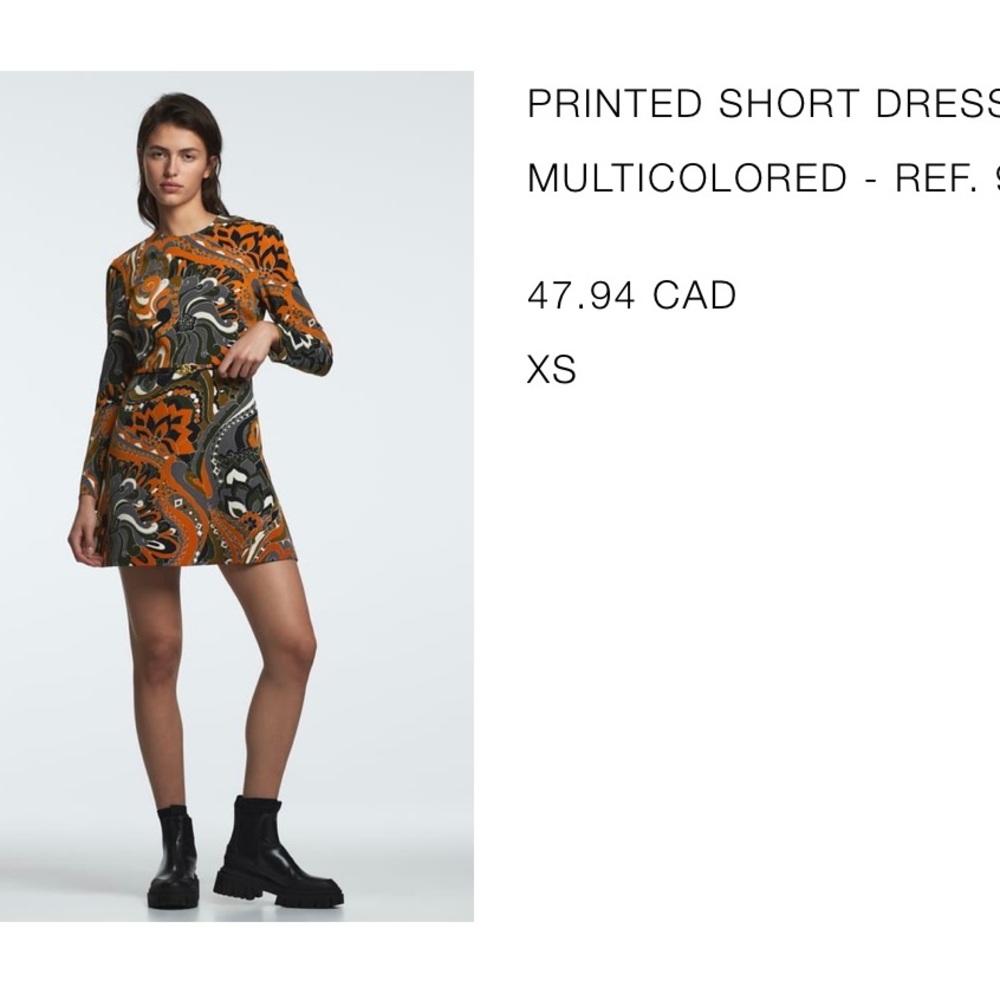 Zara dress